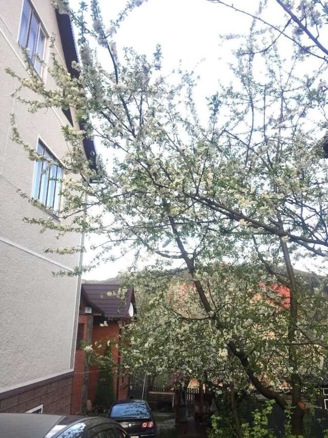 Гостевой дом Sadyba Girske Povitria Яремче-40
